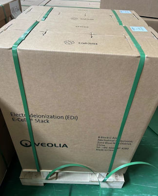 流量 5.0 M3/H ベオリア スエズ EDI スタック E-Cell-3X スエズ 超純水供給用