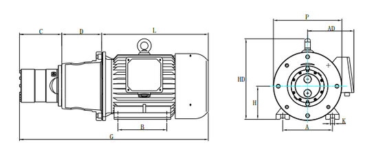 DHP 2.1 軸活塞ポンプ (7.8kg,80Bar) 工業用RO/脱塩用高圧水処理用品