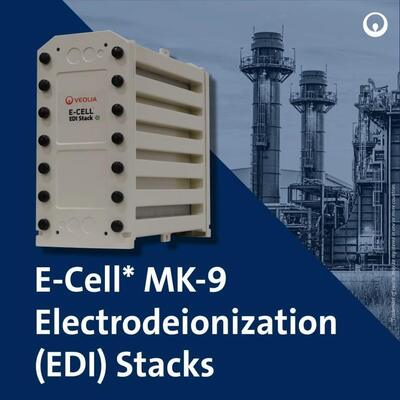 E-Cell MK-9 EDI スタック 高純度水生産 18.5-44.0 GPM 流量範囲でステンレス鋼の化学再生なし