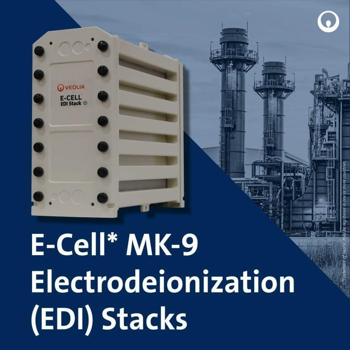 E-Cell MK-9 EDI スタック 高純度水生産 18.5-44.0 GPM 流量範囲でステンレス鋼の化学再生なし