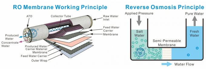 6TPH 7.9kW-380-415V 2xFRPタンク 塩水の逆オスモス水源 0